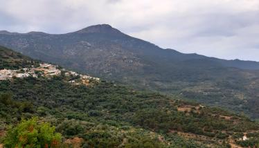 Οικισμός Αμάδων