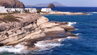 Τόφφοι και τοφφίτες Παπάφραγγα και Φυλακωπής