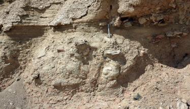 Αμτίδες Αγ. Κυριακής