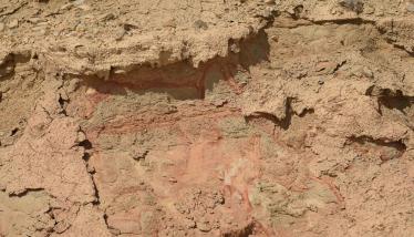 Αμτίδες Αγ. Κυριακής