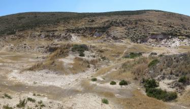 Τόφφοι και λατύπες λαβών Φυριπλάκας 