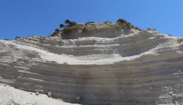 Τόφφοι Φυριπλάκας