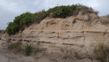 Τόφφοι Φυριπλάκας