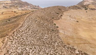 Τόφφοι Φυριπλάκας