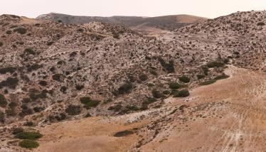 Τόφφοι Φυριπλάκας