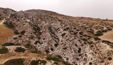 Τόφφοι Φυριπλάκας