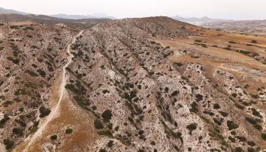 Τόφφοι Φυριπλάκας