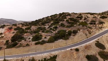 Πράσσινο λαχάρ