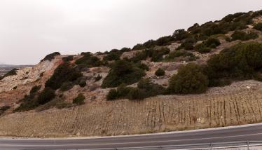 Πράσσινο λαχάρ