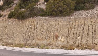 Πράσσινο λαχάρ