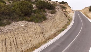 Πράσσινο λαχάρ