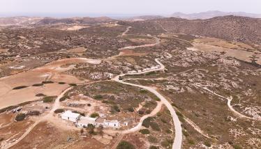 Πράσσινο λαχάρ