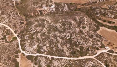 Πράσσινο λαχάρ