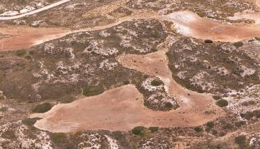 Πράσσινο λαχάρ