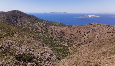 Λαιμός λάβας ΒΔ πρανών