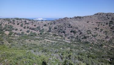 Λαιμός λάβας ΒΔ πρανών