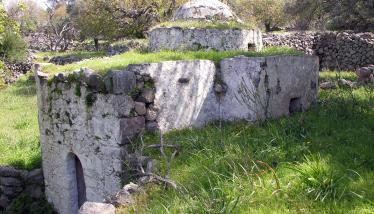 Φανερωμένη