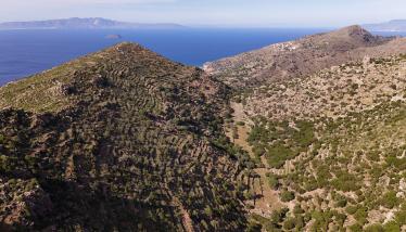 Φανερωμένη