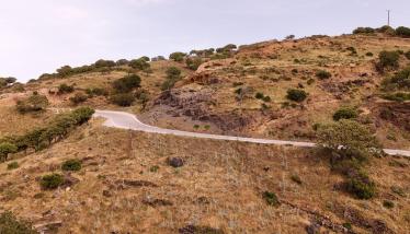 Δακτύλιος τόφφων