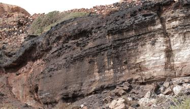 Ορυχεία μαγγανίου Βάνι