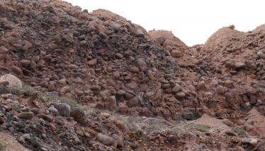 Ορυχεία μαγγανίου Βάνι