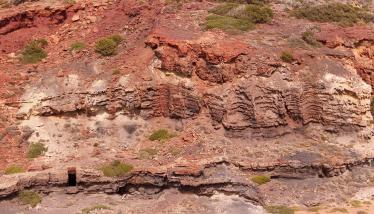 Ορυχεία μαγγανίου Βάνι