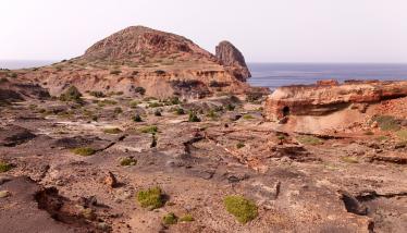 Ορυχεία μαγγανίου Βάνι