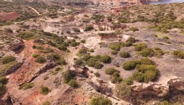 Ορυχεία μαγγανίου Βάνι