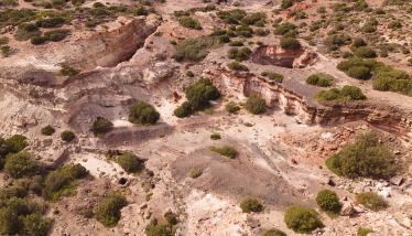 Ορυχεία μαγγανίου Βάνι