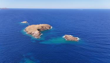 Λάβες και λόφοι Φυριπλάκας, πράσσινο λαχάρ