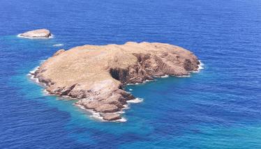 Λάβες και λόφοι Φυριπλάκας, πράσσινο λαχάρ