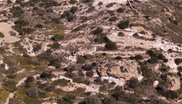 Τόφφοι και επικλαστικά με μαγγάνιο, Κλίμα