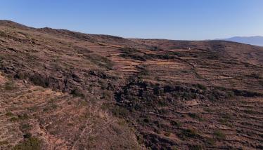 Τόφφοι και επικλαστικά με μαγγάνιο, Κλίμα