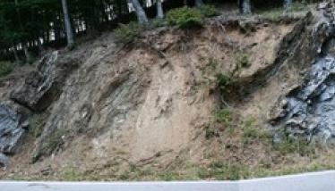 Πτυχές, φυλλίτες και μάρμαρα Περιροδοπικής