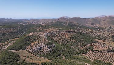 Οξειδωμένα θειούχα μεταλλουργικά απορρίμματα επίπλευσης