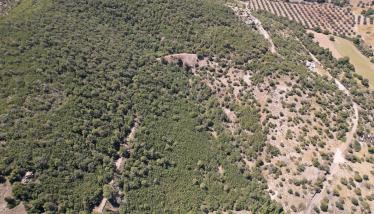 Οξειδωμένα θειούχα μεταλλουργικά απορρίμματα επίπλευσης