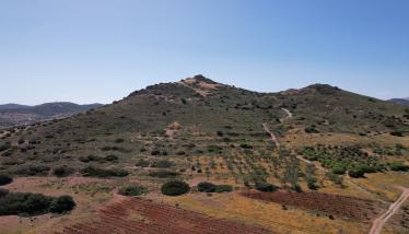 Μεταβασίτες (μεταοφιόλιθοι)