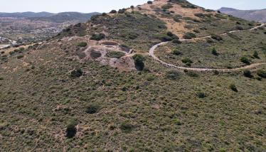 Μεταβασίτες (μεταοφιόλιθοι)