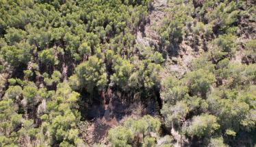 Αρχαία δεξαμενή ύδατος