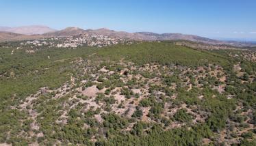 Ασβεστολιθικά ράκη