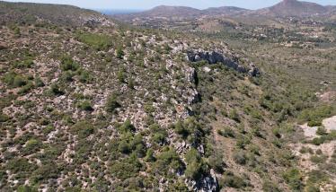 Ασβεστολιθικά ράκη