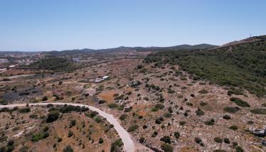 Οξειδωμένα θειούχα μεταλλουργικά απορρίμματα επίπλευσης