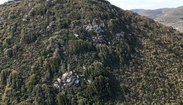 Μεταβασίτες-μεταοφιόλιθοι
