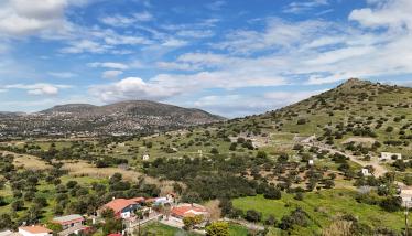 Μεταβασίτες (μεταοφιόλιθοι)