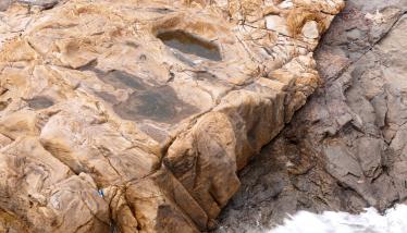 «Κουτάλα-Μικρολίμανο» Τόμπολο