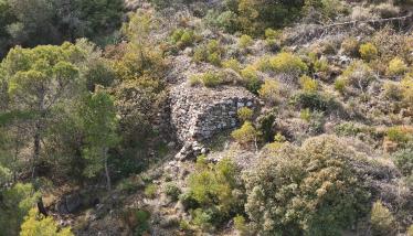 Επικλυσιγενής επαφή