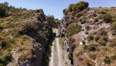 Σχιστόλιθοι Σειράς Πλάκας