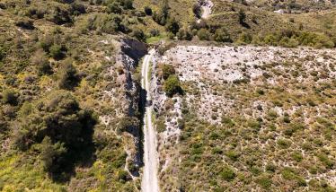 Σχιστόλιθοι Σειράς Πλάκας