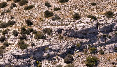 Στρωματογραφική επαφή («Σειρά Καμάριζας»)