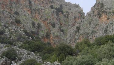 Φαράγγι Κριτσάς